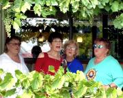 Wavelength at Rose Valley Winery - 2