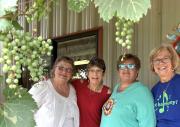 Wavelength at Rose Valley Winery
